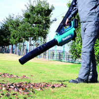 מפוח עלים 18V נטען 13 מ