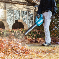 מפוח עלים 18V נטען 13 מ