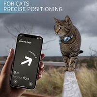 רצועת צווארון אלקטרונית לאיתור ושמירה לחיות מחמד