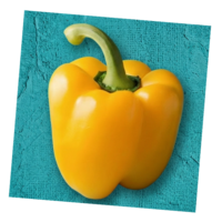 פלפל צהוב
