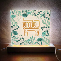 תמונת אור לו יהי