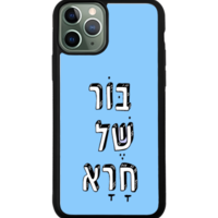 כיסוי פלאפון בור של חרא