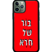כיסוי פלאפון בור של חרא