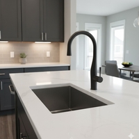 ברז מטבח נשלף | 2 מצבי זרימה | Imagine | שחור מט | 304869BL