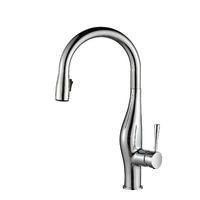 ברז מטבח נשלף | 2 מצבי זרימה | IMAGINE | כרום | 304869CH