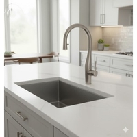 ברז מטבח נשלף | 2 מצבי זרימה | Imagine | ניקל מוברש | 304869BN