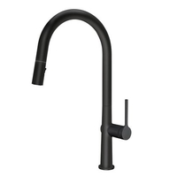 ברז מטבח נשלף גבוה | 2 מצבי זרימה | SENSE |שחור מט|306369BL