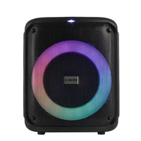 בידורית ניידת 8″ כולל מיקרופון אלחוטי QL Milano TOWER-108