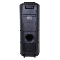 בידורית “2X10 עם מיקרופון אלחוטי QL Milano TOWER-210