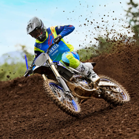 YZ450F MONSTER
