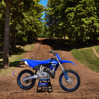 YZ250