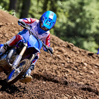 YZ65
