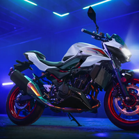 Z500 SE