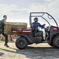 MULE SX 610 4*4 XC 111