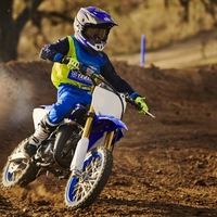 YZ65