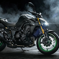 Z1100 SE
