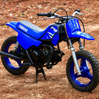 PW50
