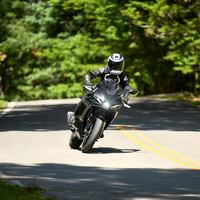 YZF-R3