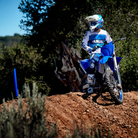 YZ250