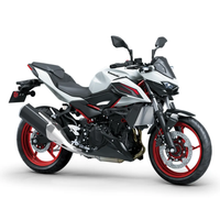 Z500 SE