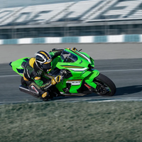 Ninja ZX-10R