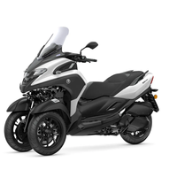 TRICITY 300