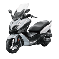 CRUiSYM 300