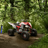 Yamaha YFM700R 70th