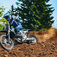 YZ450F MONSTER