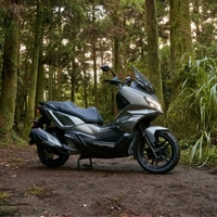 ADX 300