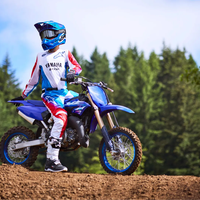 YZ65