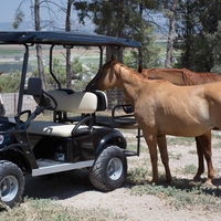 רכב תפעולי DH-C2