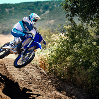 YZ250