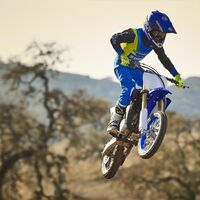 YZ65