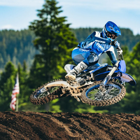 YZ250F