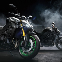 Z1100