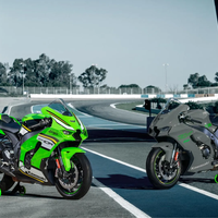 Ninja ZX-10RR