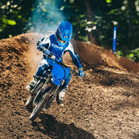 YZ65