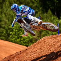 YZ250F MONSTER