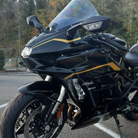 NINJA H2 SX