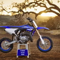 YZ65