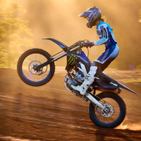 YZ250F MONSTER