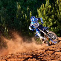 YZ250F MONSTER