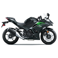 ninja 500