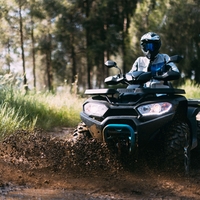 AX800