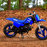 PW50