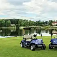 Drive2 FLEET EFI