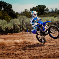 YZ250