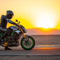 Z900 SE
