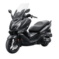 CRUiSYM 300